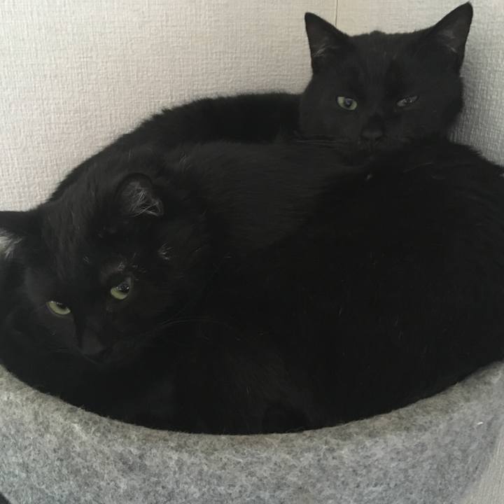 E8700311 edd4 407f bdde 6ea3dcea8391 1532352520435