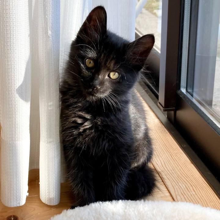 E8700642 7488 47dc 8ee1 e93b4bafd1db 1700893356723