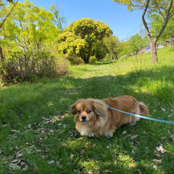 E870386c d8a2 4a86 aaf3 c33c34234d7f 1651548849520