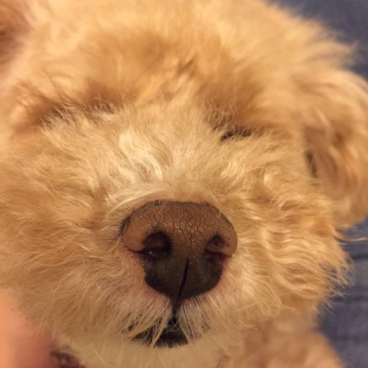 E8707b78 944b 46e9 a6f8 f0193ba3184d 1523485781311