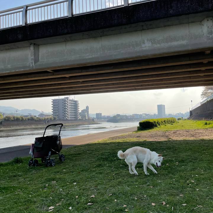 E8708cb6 1b3b 4f25 946a cd7bc14de8a6 1649404140786