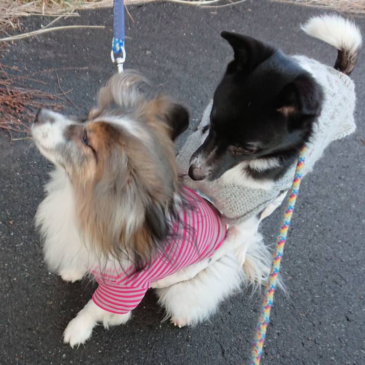 E8709cd7 c9c6 46a3 a4c4 dfa5ffbf9777 1545047053993