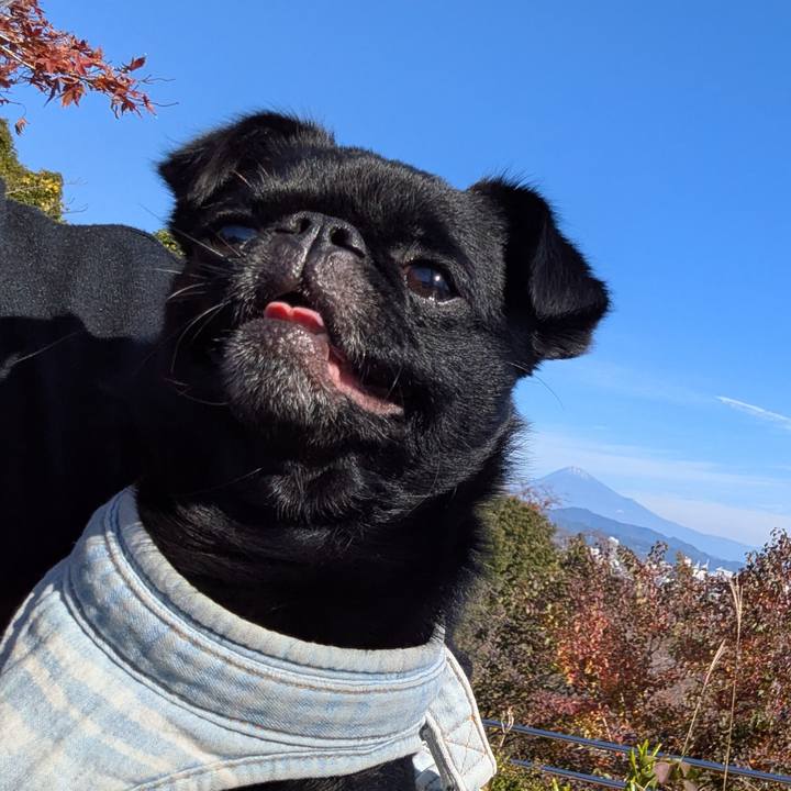 E870fba5 0c7c 4da5 abd0 608ddb2d8e35 1763984503221