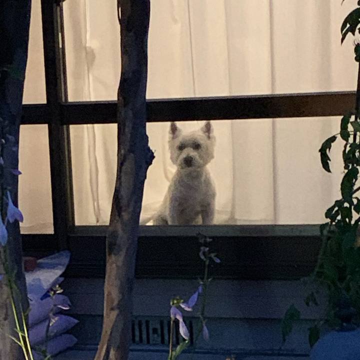 E8710e8b 1eff 4d1c 8770 434cd5dc7ea1 1594997609684