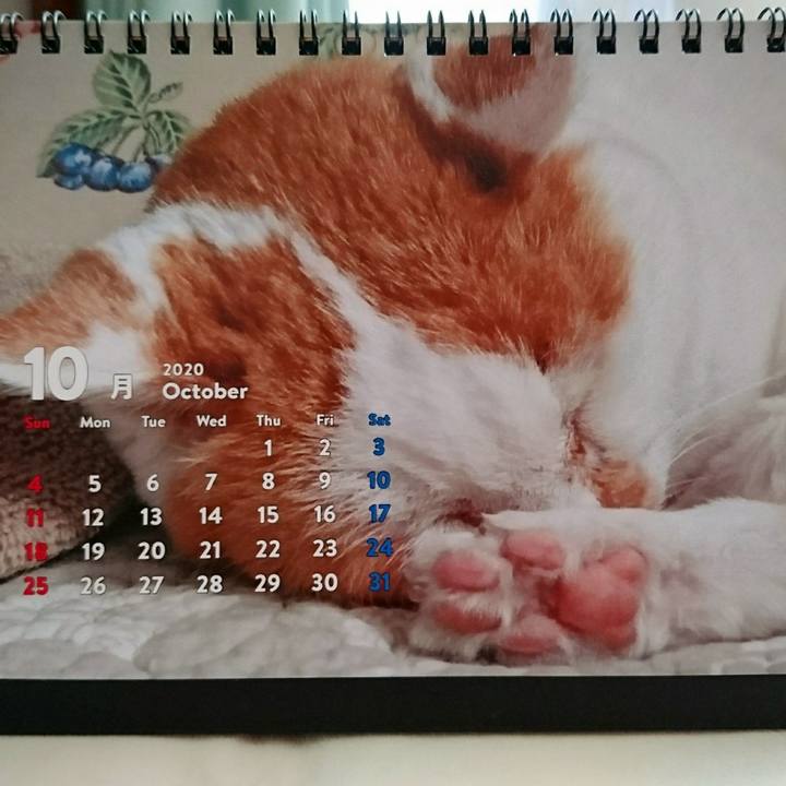 E87139eb 26a4 45b0 9dea 0640606fd603 1603520111474