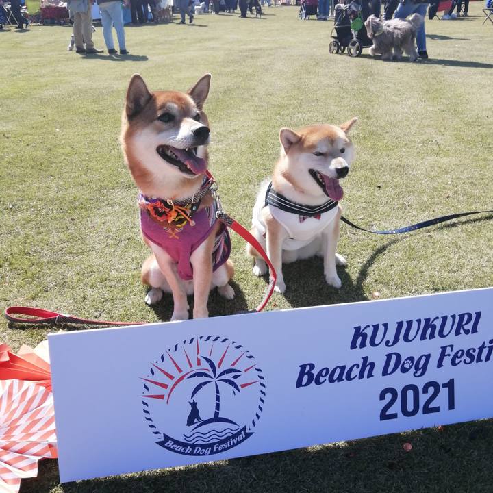 E8713d21 92b2 46e4 b5af e05049508f1e 1635153876131