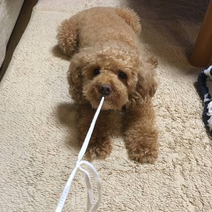 E87149fd 239f 47b4 ae9c 865148d7128d 1528670975044