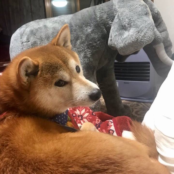 E8714f80 81b3 454a 8611 1891e211e031 1545134781729