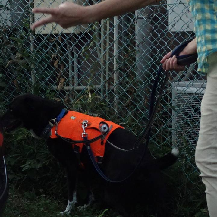 E8717e8b 7006 4a19 b277 156cfb3782b3 1723197023455