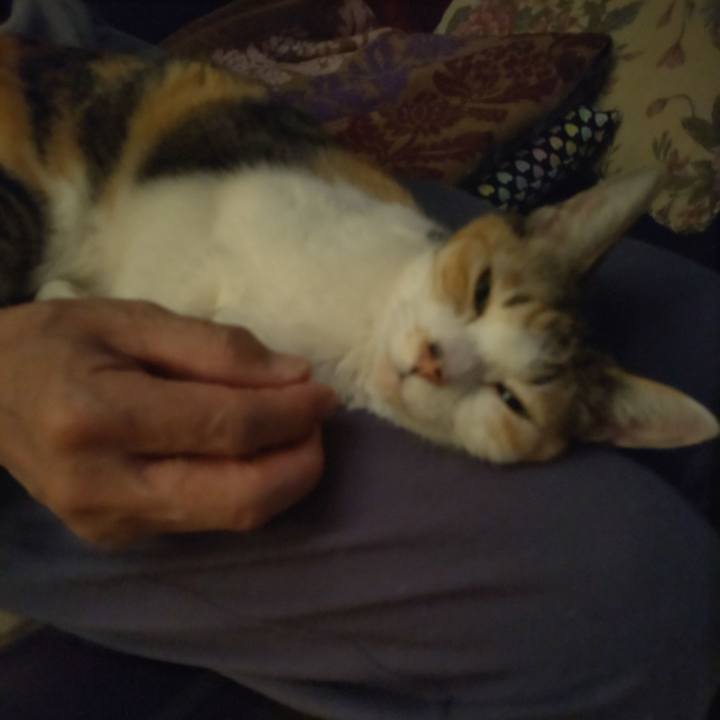 E8720a58 f0dd 414b 92d9 5d6ba9cc1aa3 1710598103318