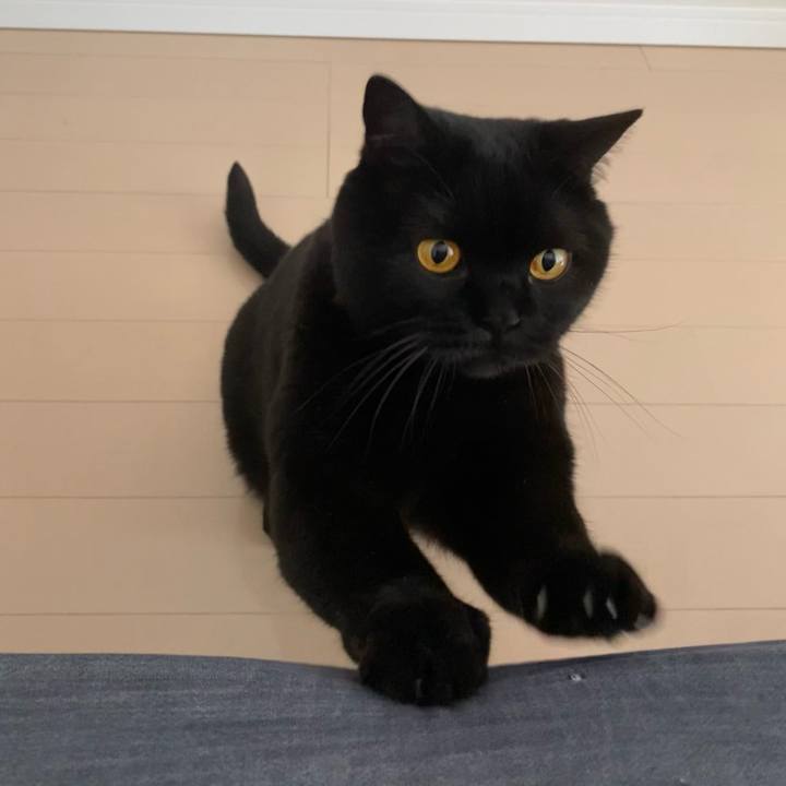 E87229f5 5de7 4951 b108 454aed2427fa 1622242054339