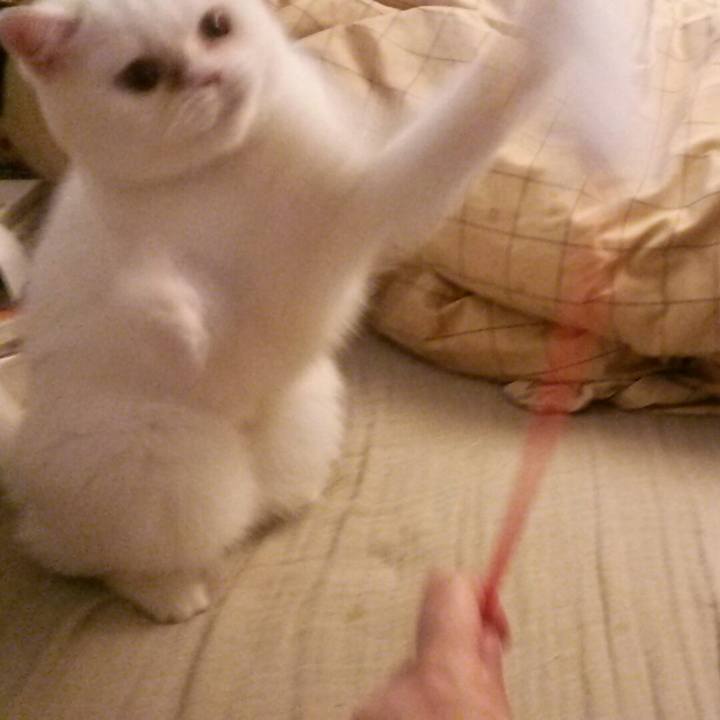 E8726bab 5796 4e42 8808 9f7d1d3c25e0 1509148170474