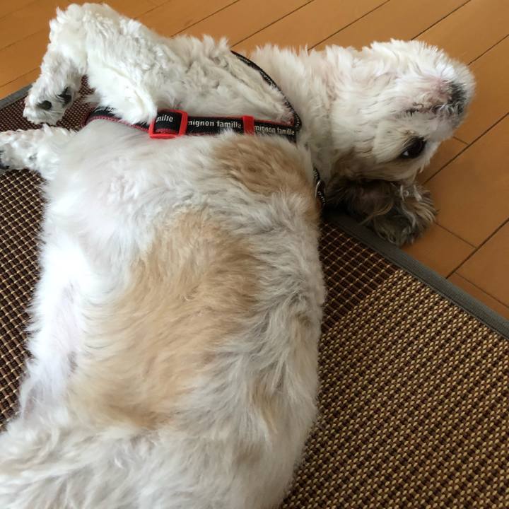 E8726d7a 8d16 4f6c 891e 2e1b792476d1 1565656304488