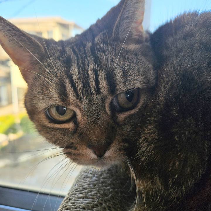 E872829c c716 40a5 bf53 3fa145ed1520 1703918792206