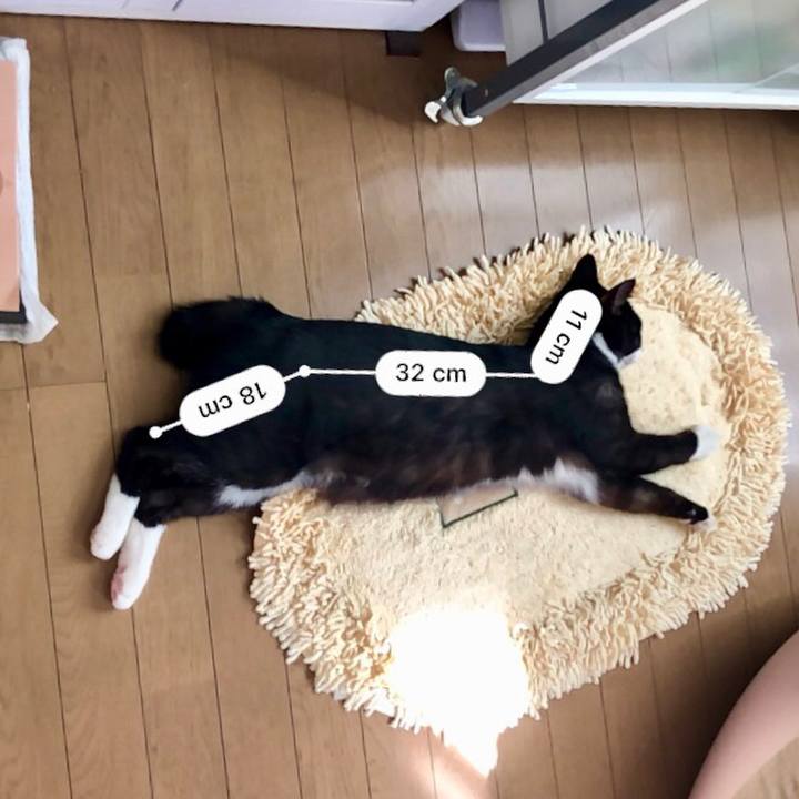 E87287d5 f347 456b bfe1 9e086f8aa602 1540439290196