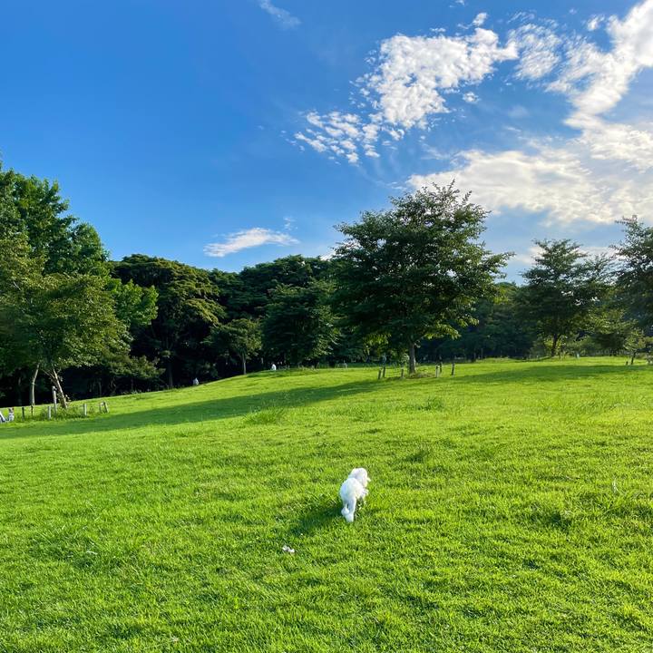 E8730306 40a5 45ff b054 030c7476502c 1625913579194