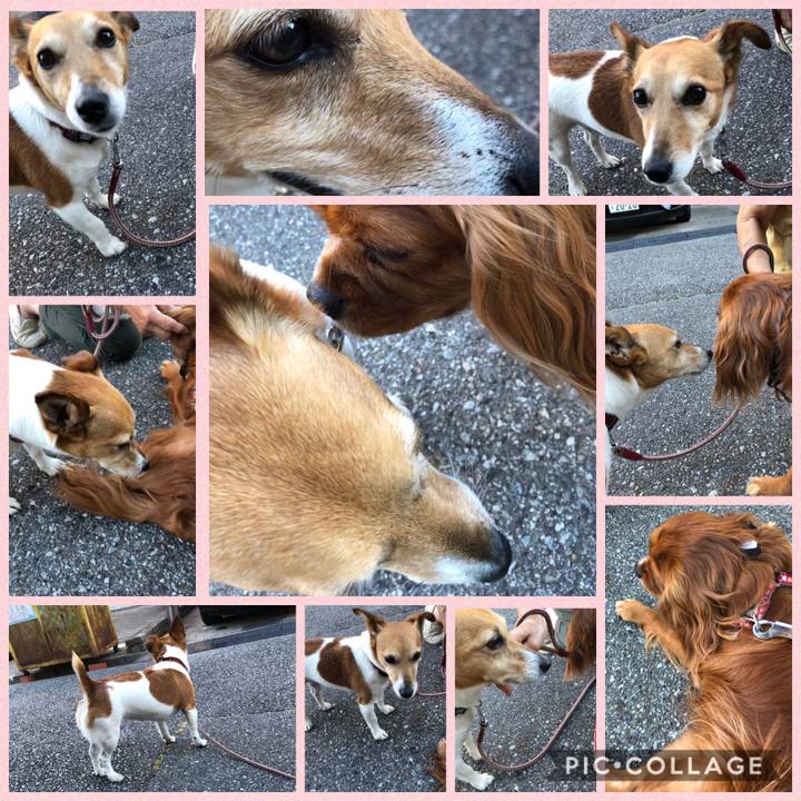 E8732b0d d0b5 4bd0 8335 05987cbc973e 1591531953837