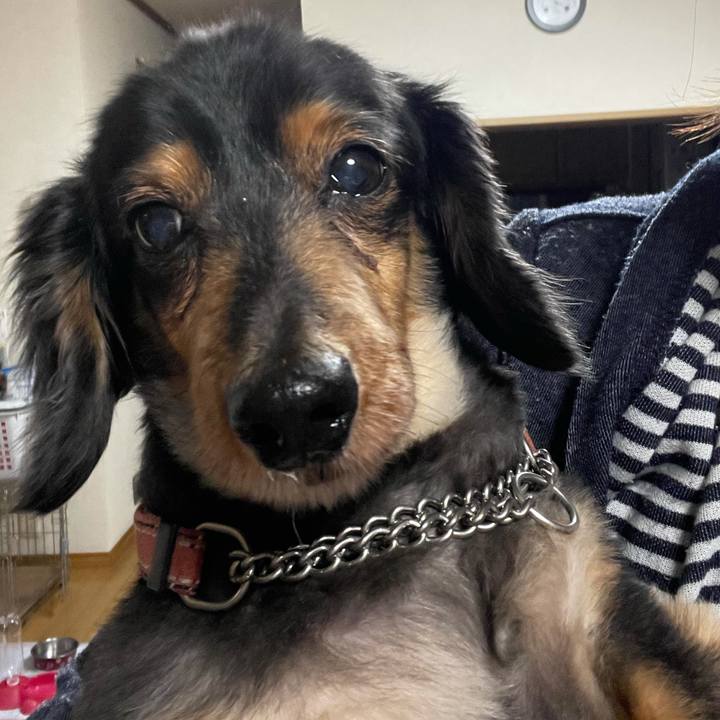 E87345fa f9bf 4f4c a815 192e479ac577 1617314319529