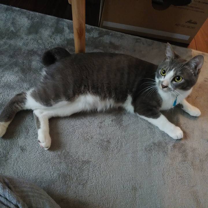 E8734d48 a141 4190 b93a 68d07618a970 1592692557760