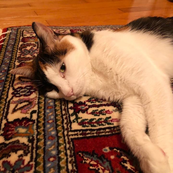 E8738aec af24 4f9d 8664 72beb9d0e5f8 1597583133620