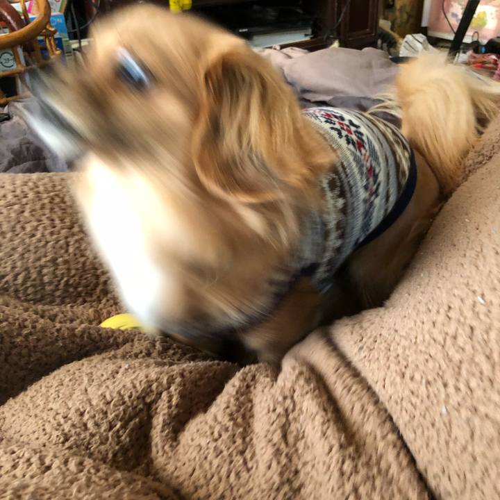 E8738f10 531a 433e af31 fbae1496fb8f 1517696836941