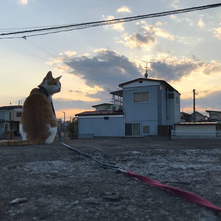 E873a169 9910 4b04 ad24 0d52a21e7332 1520160617494