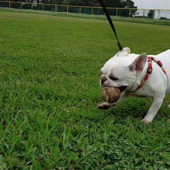 E873a3aa 5a17 40e7 a40d 962470661a44 1663368820788