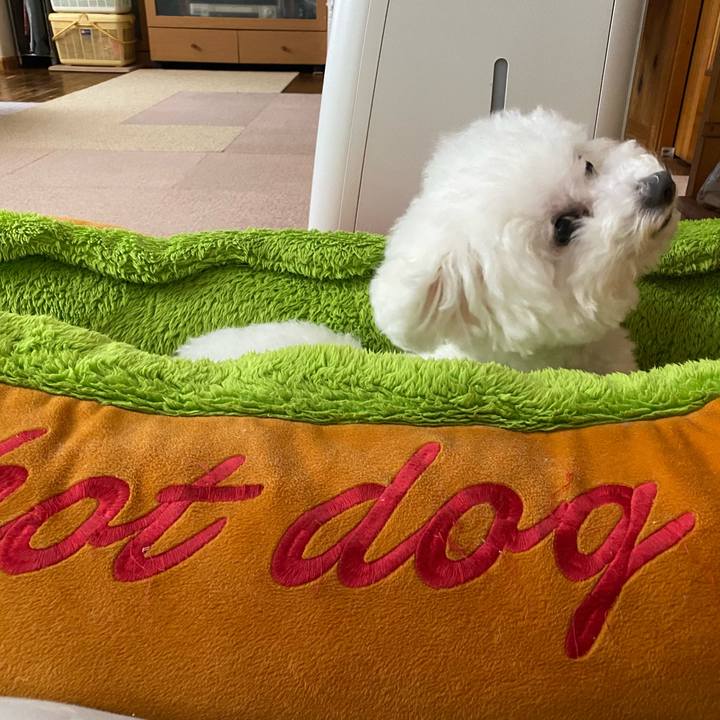 E873d604 a074 48a1 864d e71331df5dc4 1657786487385