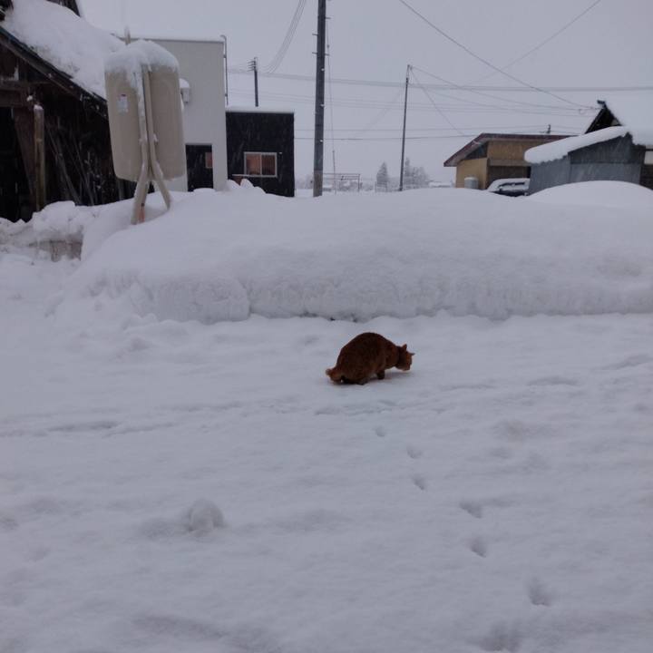 E873fe1c e62d 44e4 8bae 5fafafcad219 1671486988615