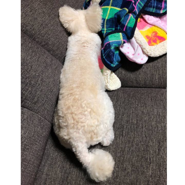 E8743121 e132 44f7 bf19 580331cf91e1 1542242768175