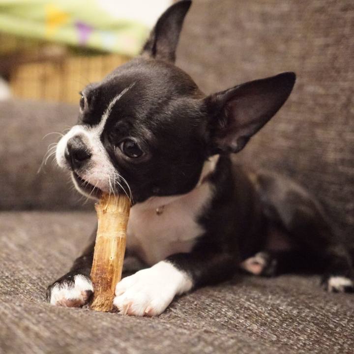 E8743204 e560 4dac 954d ba291b1143d4 1542151410842