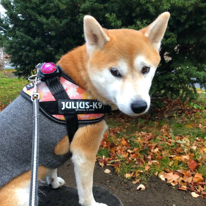 E87441ec a5c0 4c57 99bf d1fd022d04b0 1573517225234