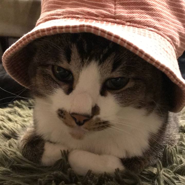 E8744e13 57fa 4db8 a921 3fa6e0961dc5 1545996394391