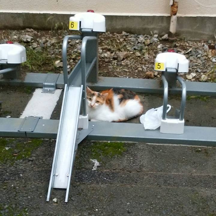 E8745599 3fa6 4613 8957 35539591eda9 1594935404078