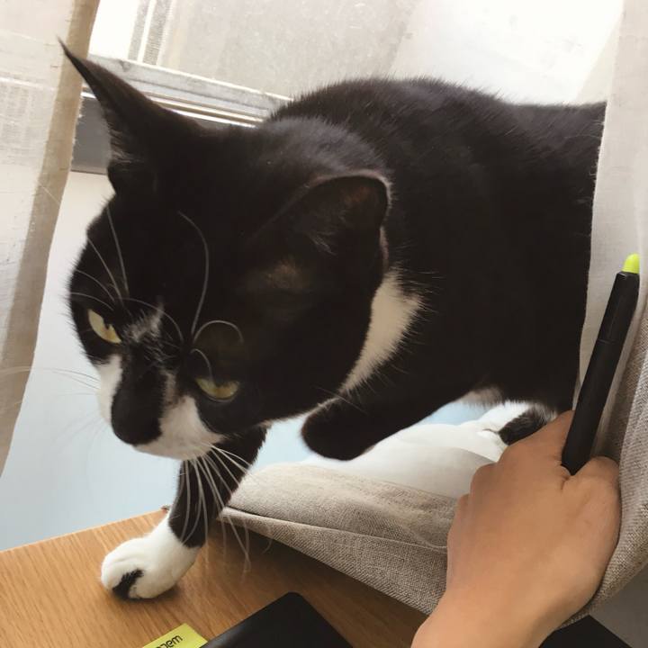 E874609e 47c2 4f87 b98a c7150e2d3b72 1773375861483