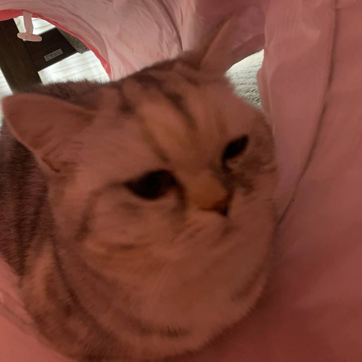 E8746908 cbc7 4108 a0b3 94a2079aa097 1708518202436