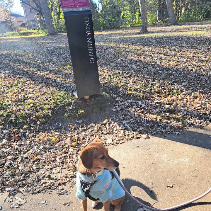 E8747415 4a68 4d03 bda1 4edc810230bc 1763605901477