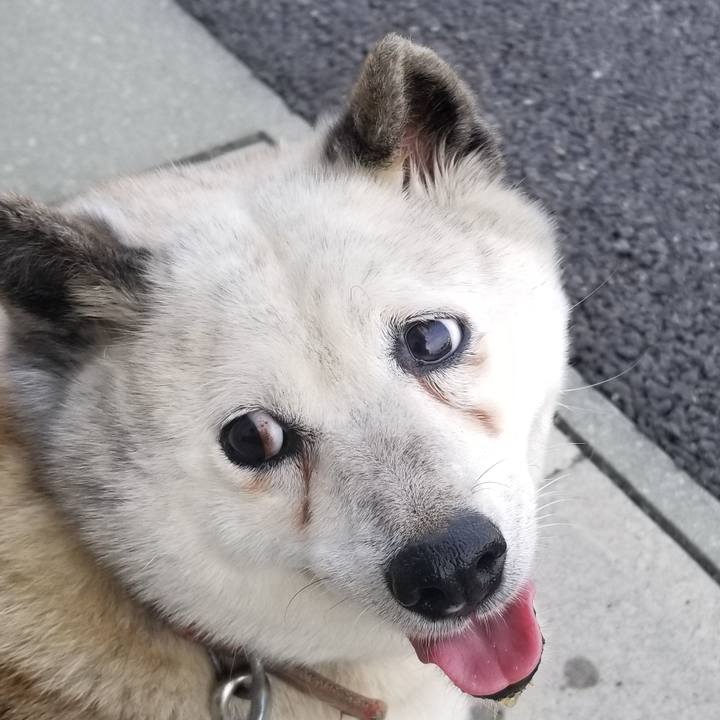 E8747622 88f7 41a3 adb9 f66c606fa23b 1718145382708