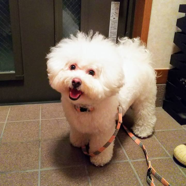 E874b23d da9c 411b 922d 8969a7da61be 1565440179453