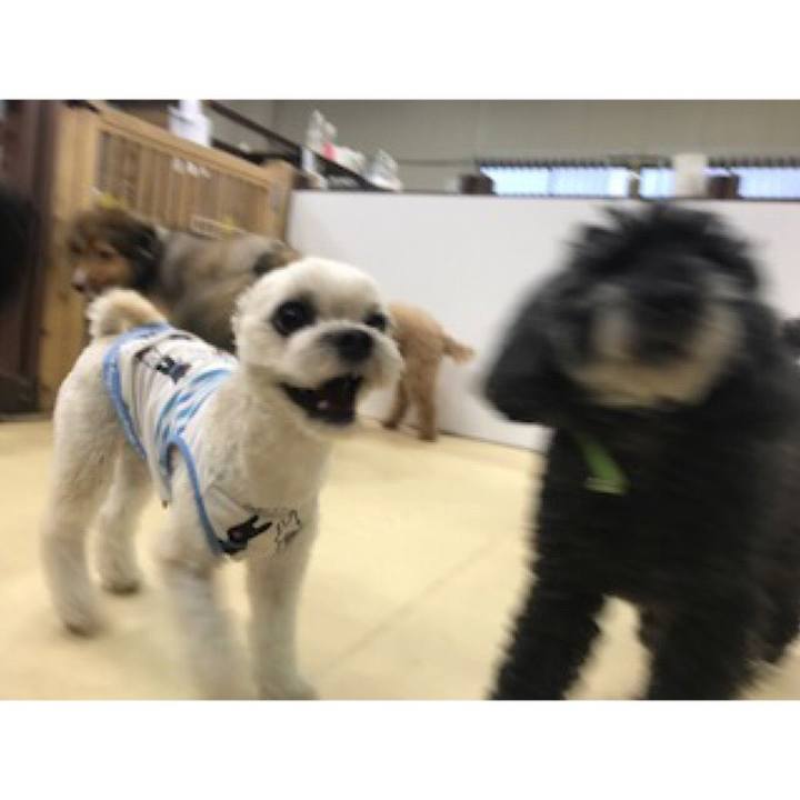 E874c453 60f2 480c 9558 3b3349072bc4 1531479883822