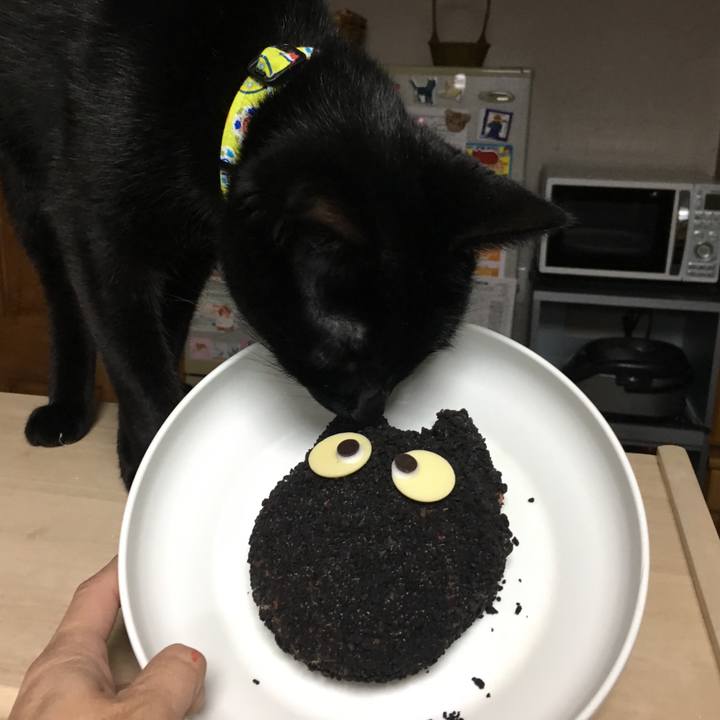 E874e249 3155 4cd9 8ab1 345e40651a26 1521026757492