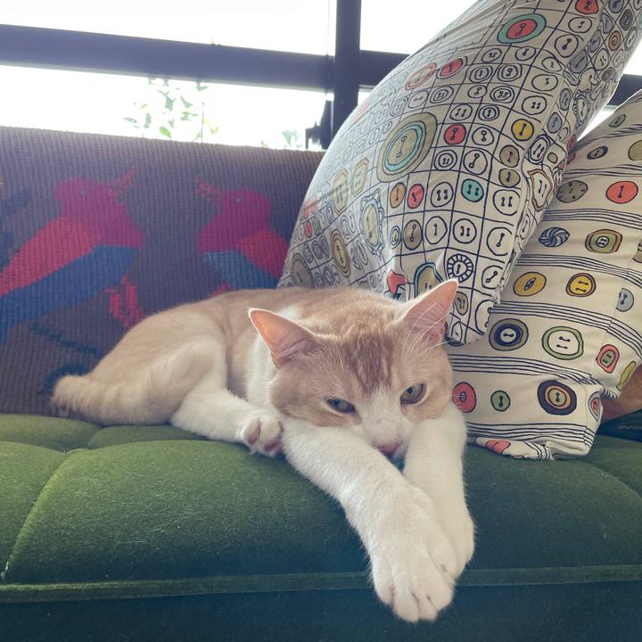 E874ef91 5379 4489 abcb 23e11bc0293e 1689476635210