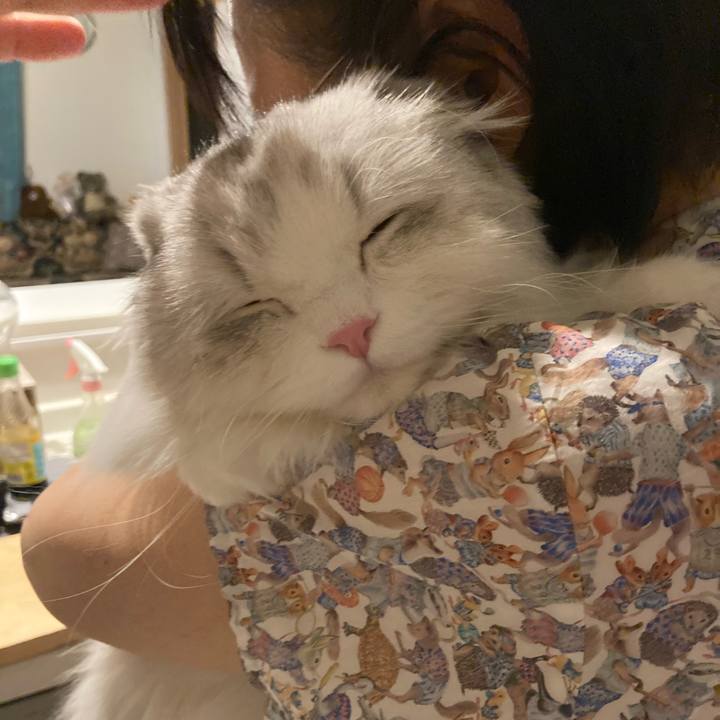 E8750320 eaaf 45ce aee6 689c99b6e594 1650725345494