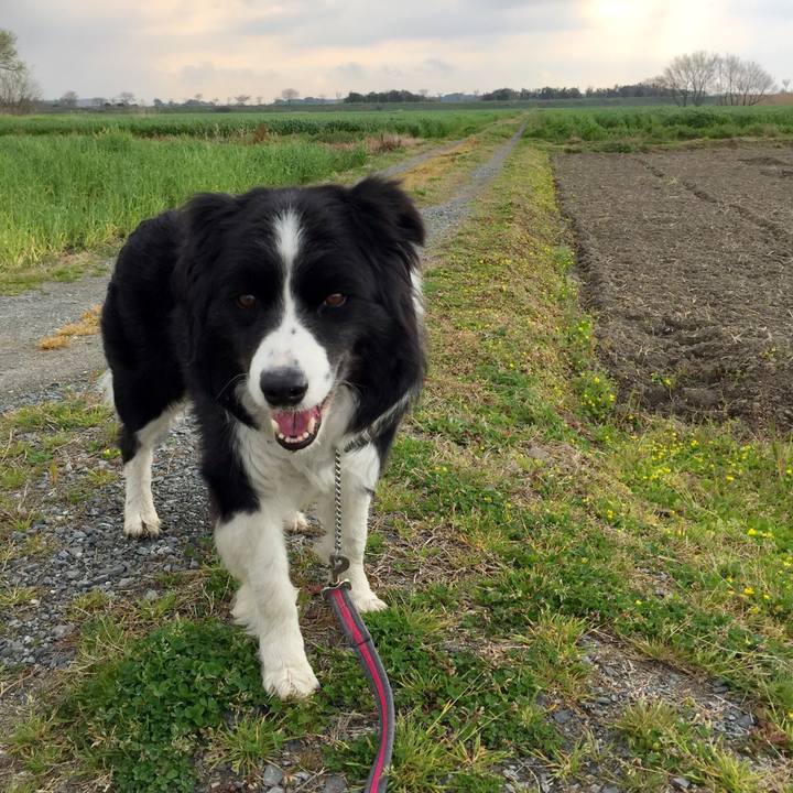 E8752a27 e521 4eda 82a7 59d3783c921b 1553731695656