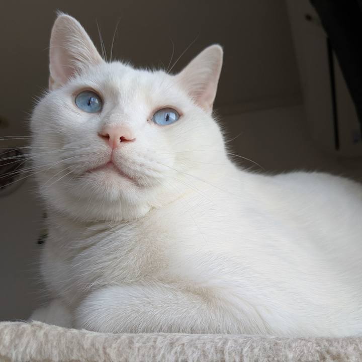 E87532de e0b5 4e73 8a47 f7400b14eb82 1560899529976