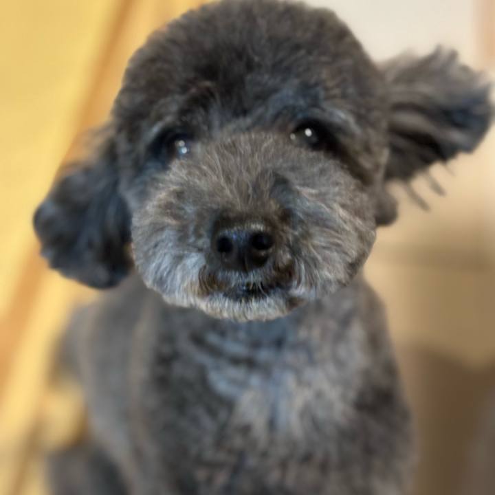 E875bf49 65a0 43c1 9be6 6ca4dd7f01b6 1700560076154