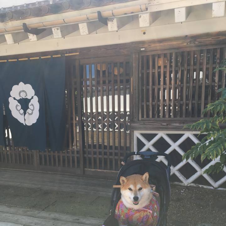 E875cef8 947f 4a00 8b21 1d3b822f22cc 1570244966795