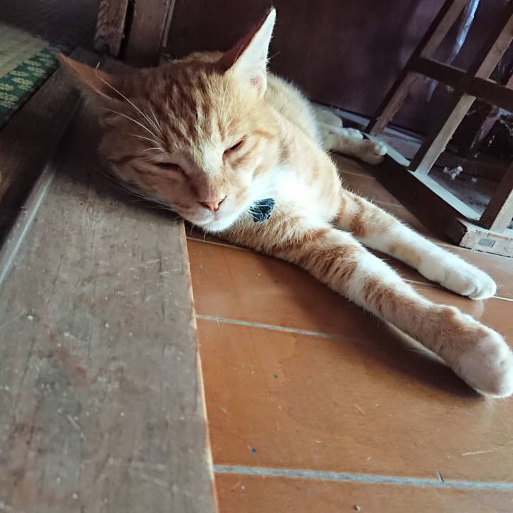 E875e0b2 d8d9 4d25 b033 ec04d609e9e4 1564646402356