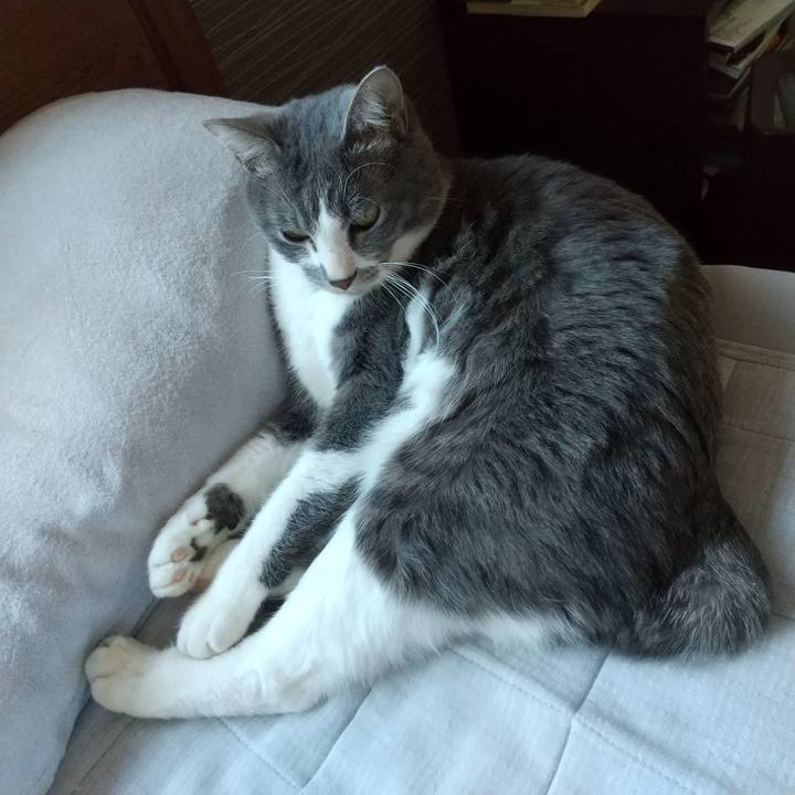 E875e4cd 0fc0 45fd 9749 68a04b906f06 1641690558080