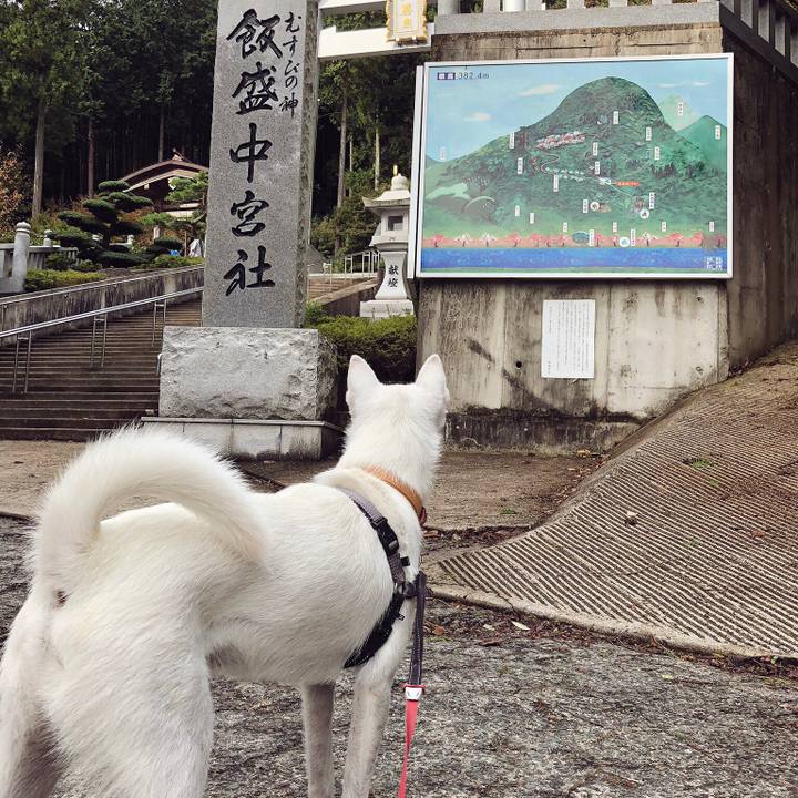 E876498d 447f 4809 ba9d c3a01a6e0a31 1538876983812